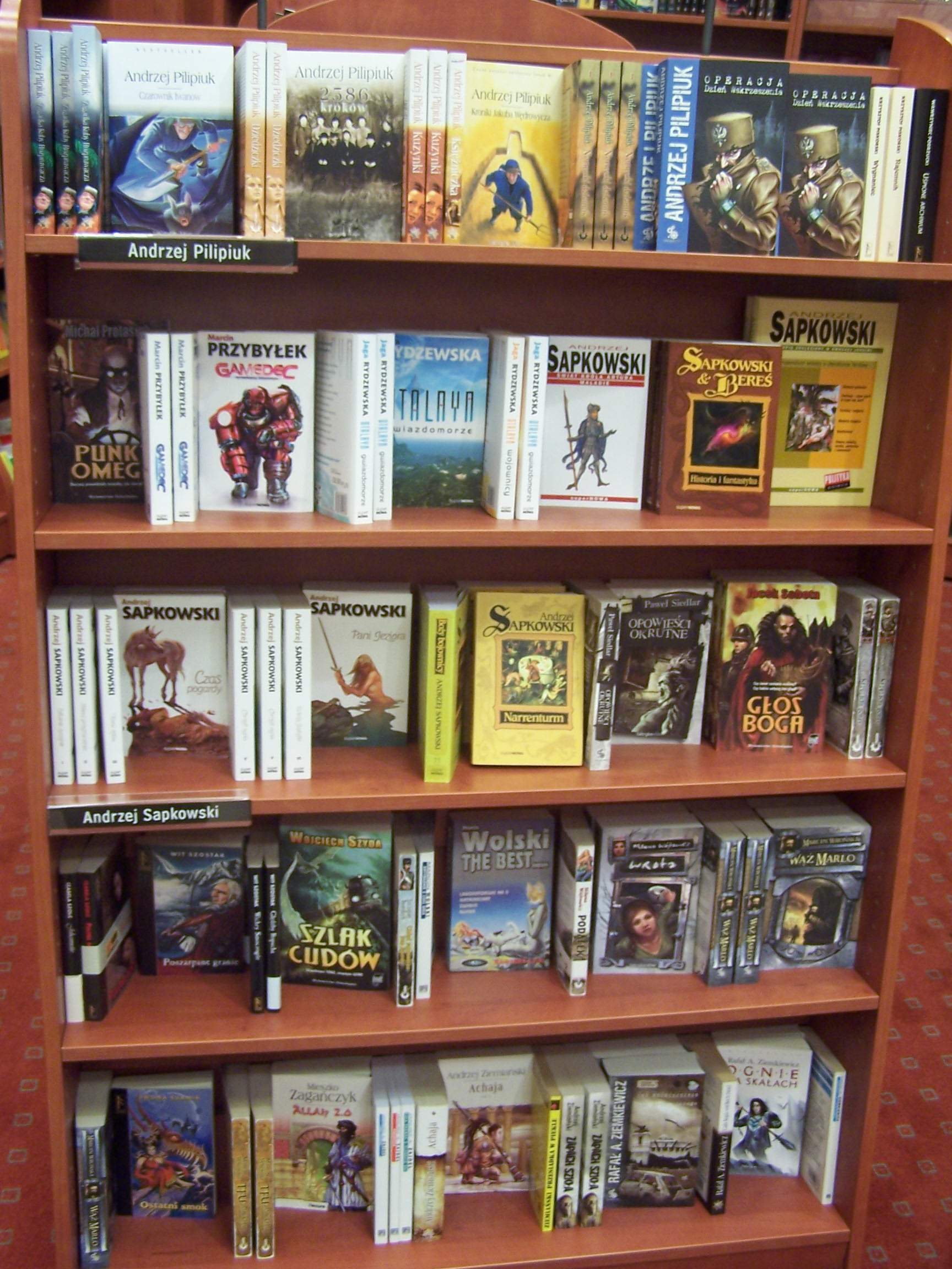 Context image: bookstore shelves with literature.