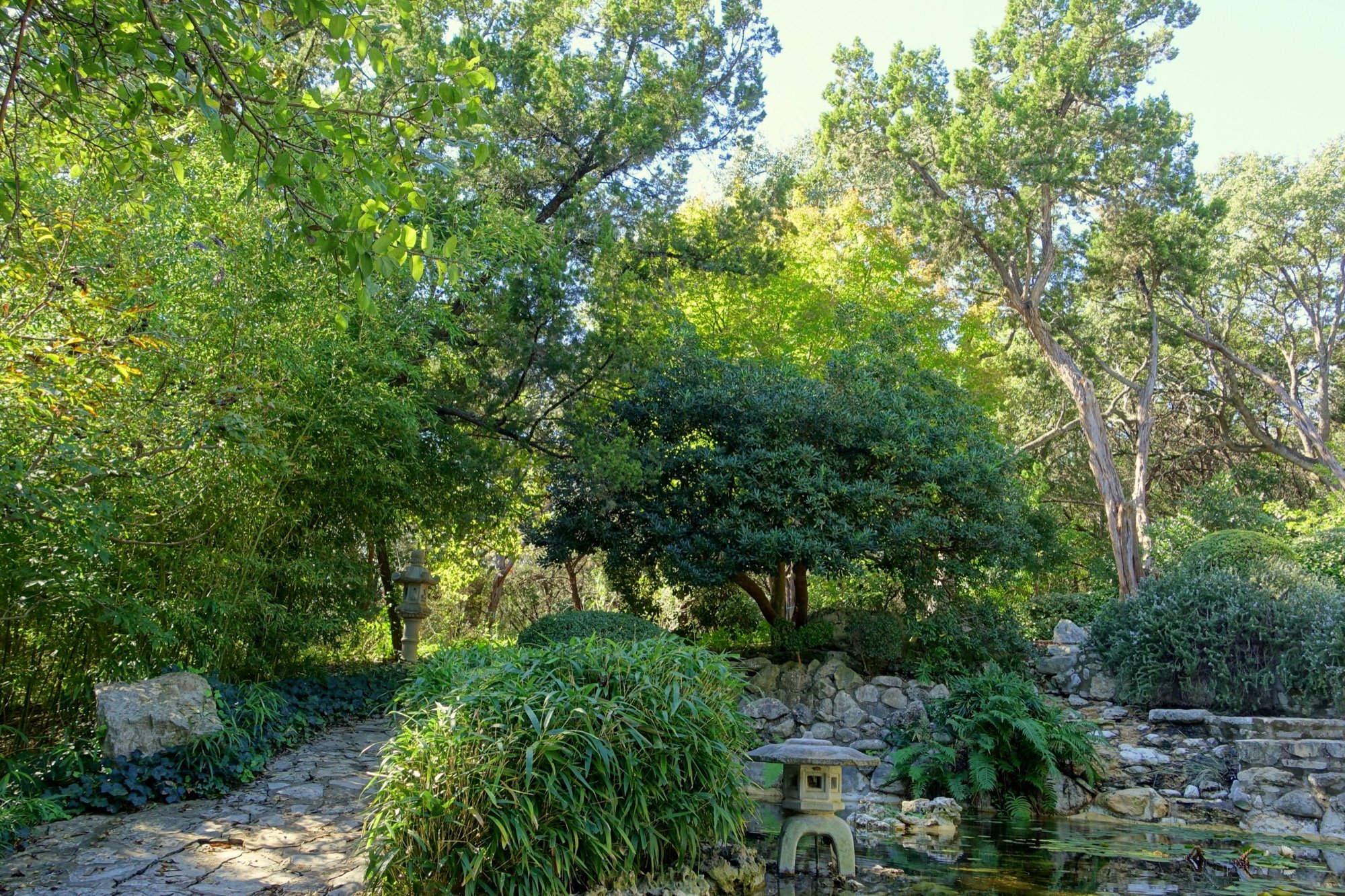 Pond and stone lantern in the Isamu Taniguchi Japanese Garden at Zilker Botanical Garden in Austin.