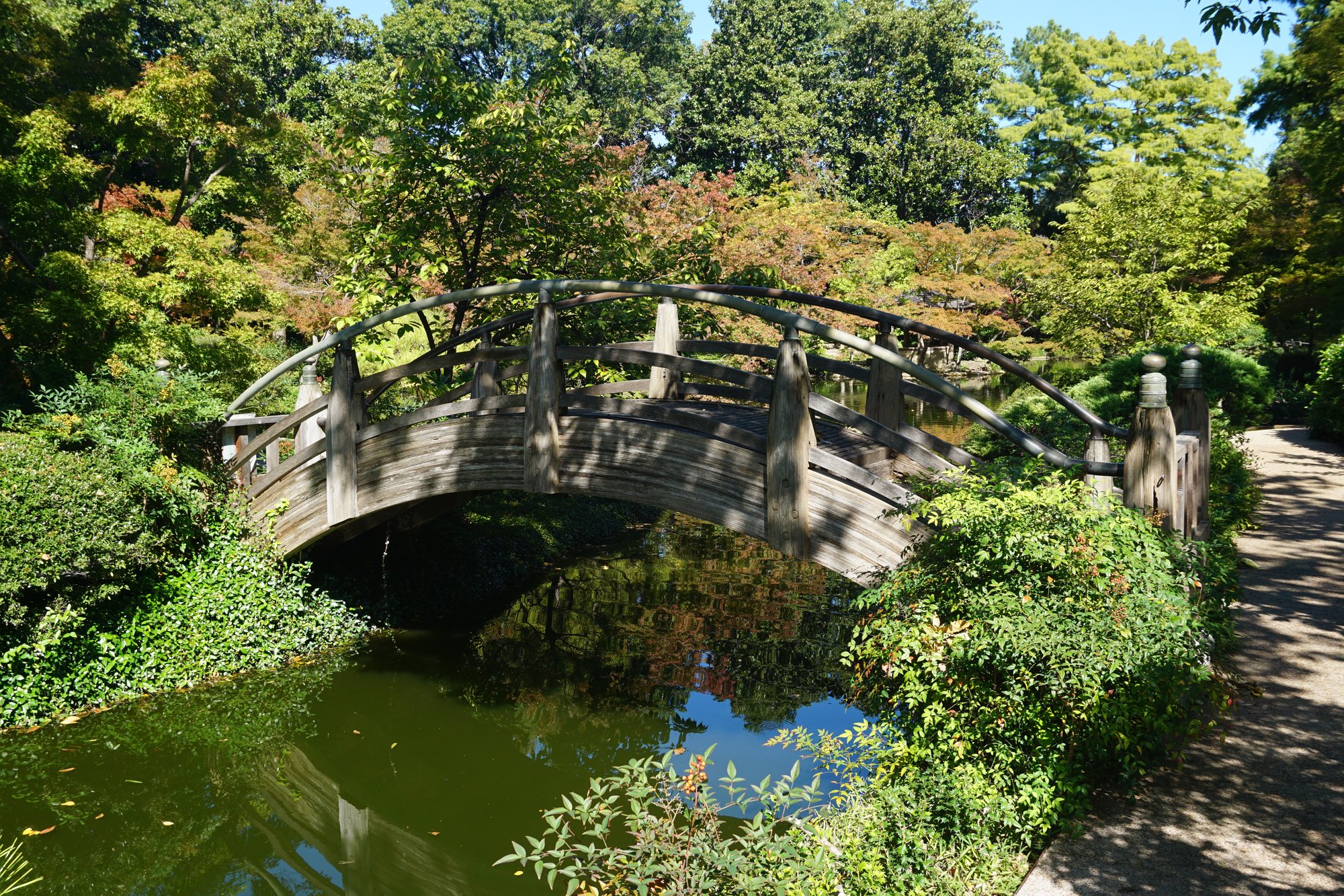 Moon Bridge at the Fort Worth Japanese Garden in the Fort Worth Botanic Garden.