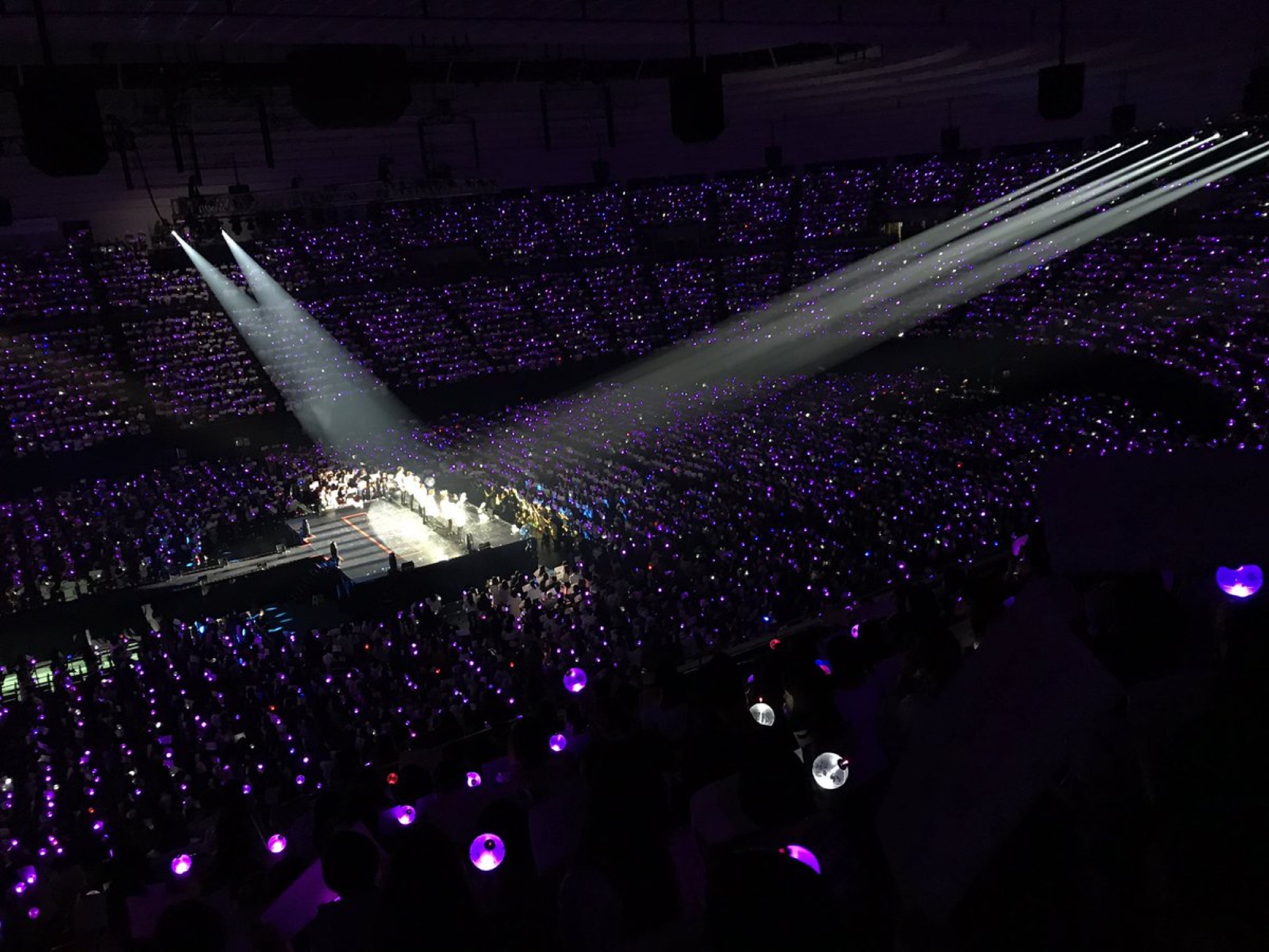 BTS concert crowd with purple ARMY Bombs filling an arena during the Wings tour.