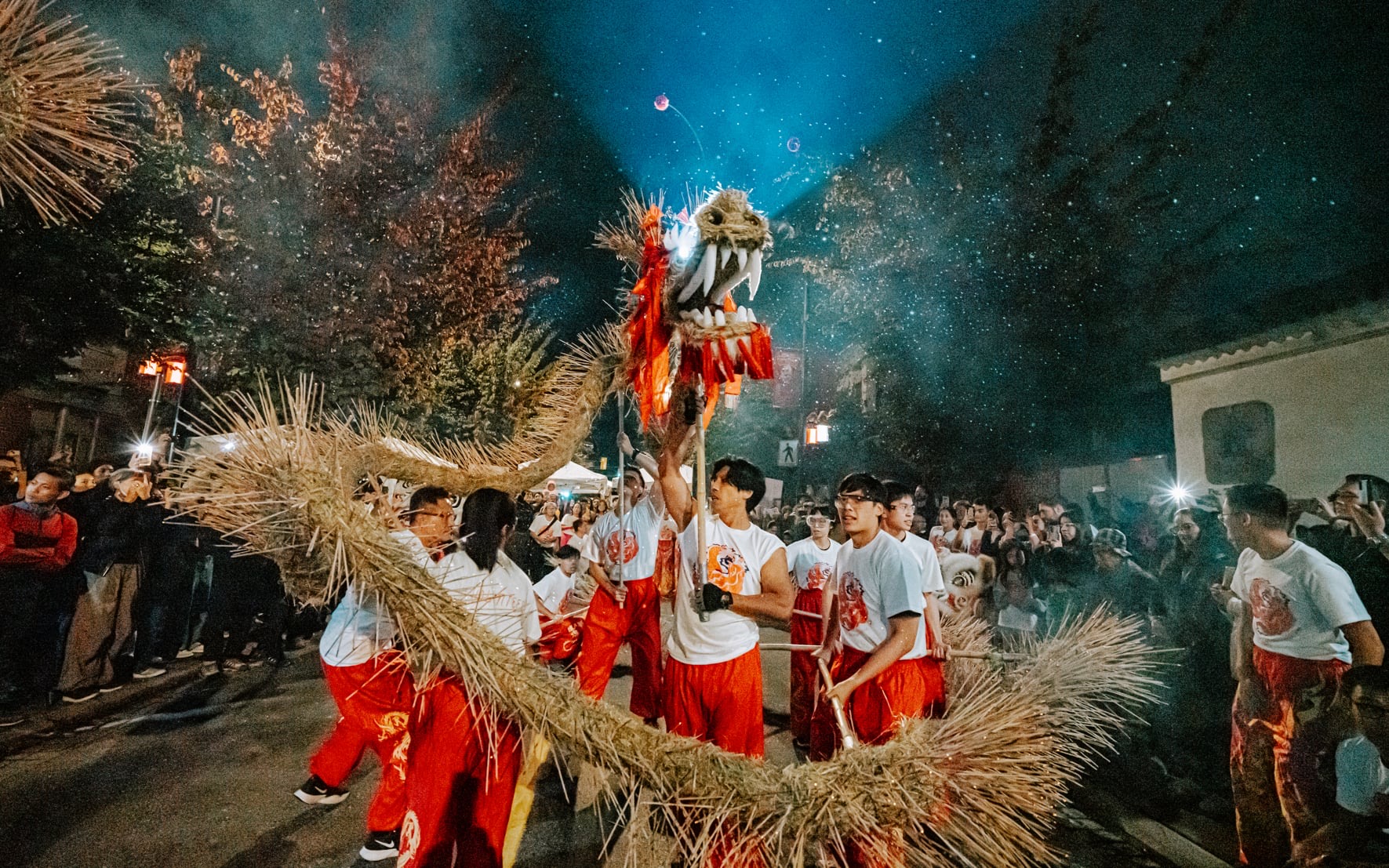 Fire Dragon Festival performance imagery from Vancouver Chinatown.