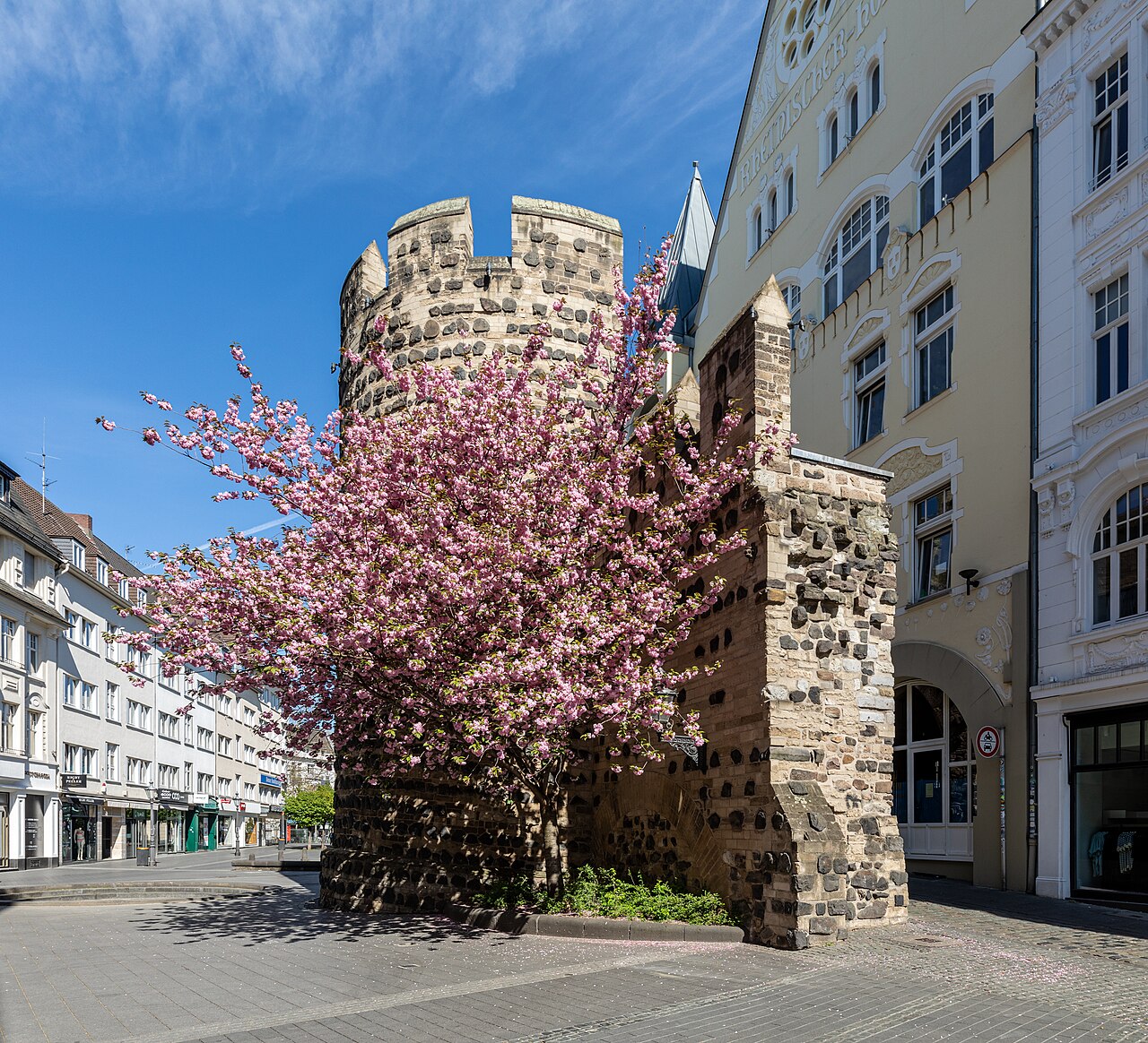 Context image: spring city street scene.