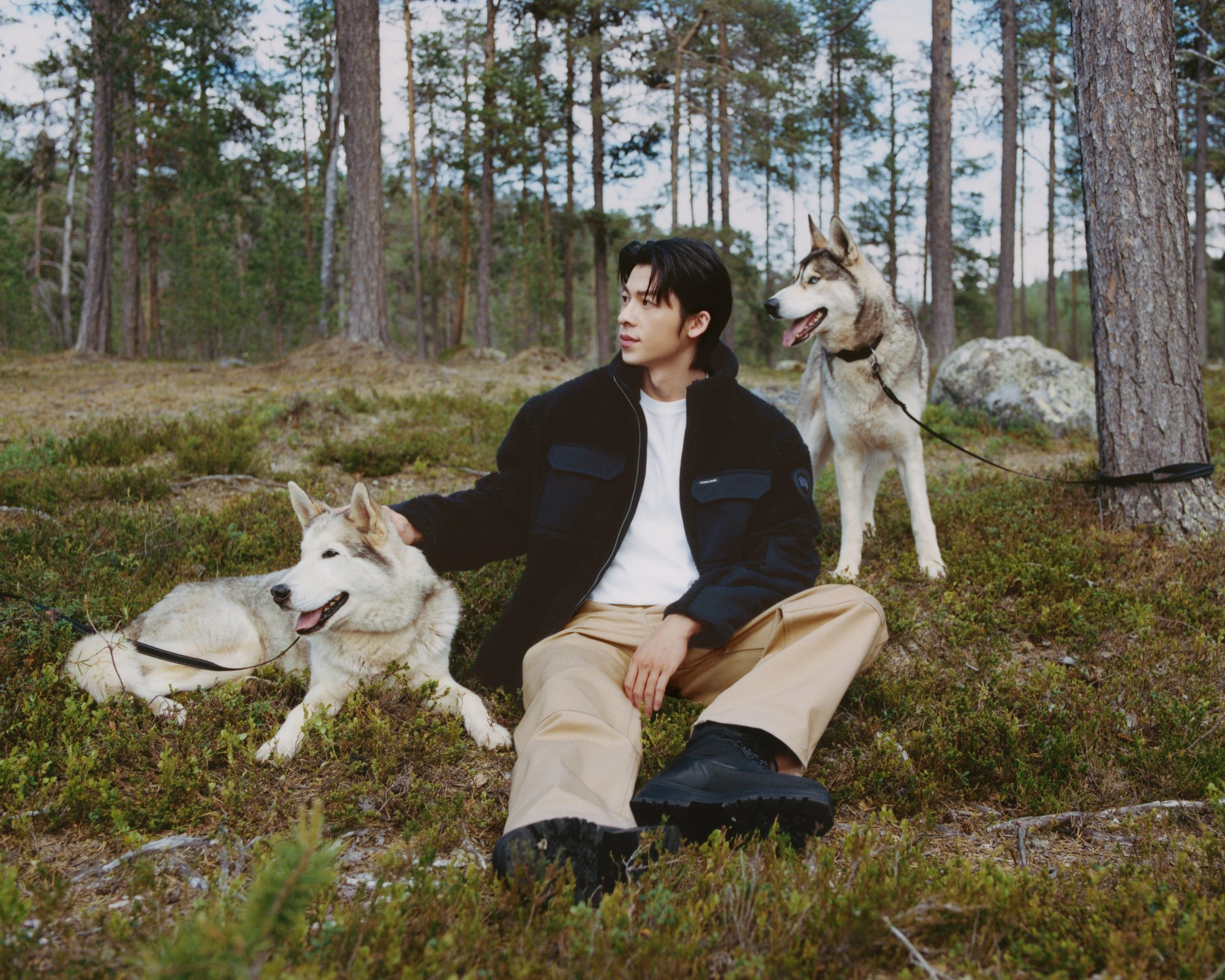 Greg Hsu sits on a mossy forest floor in Finland with two huskies, wearing a black Canada Goose jacket and tan trousers under soft northern light.