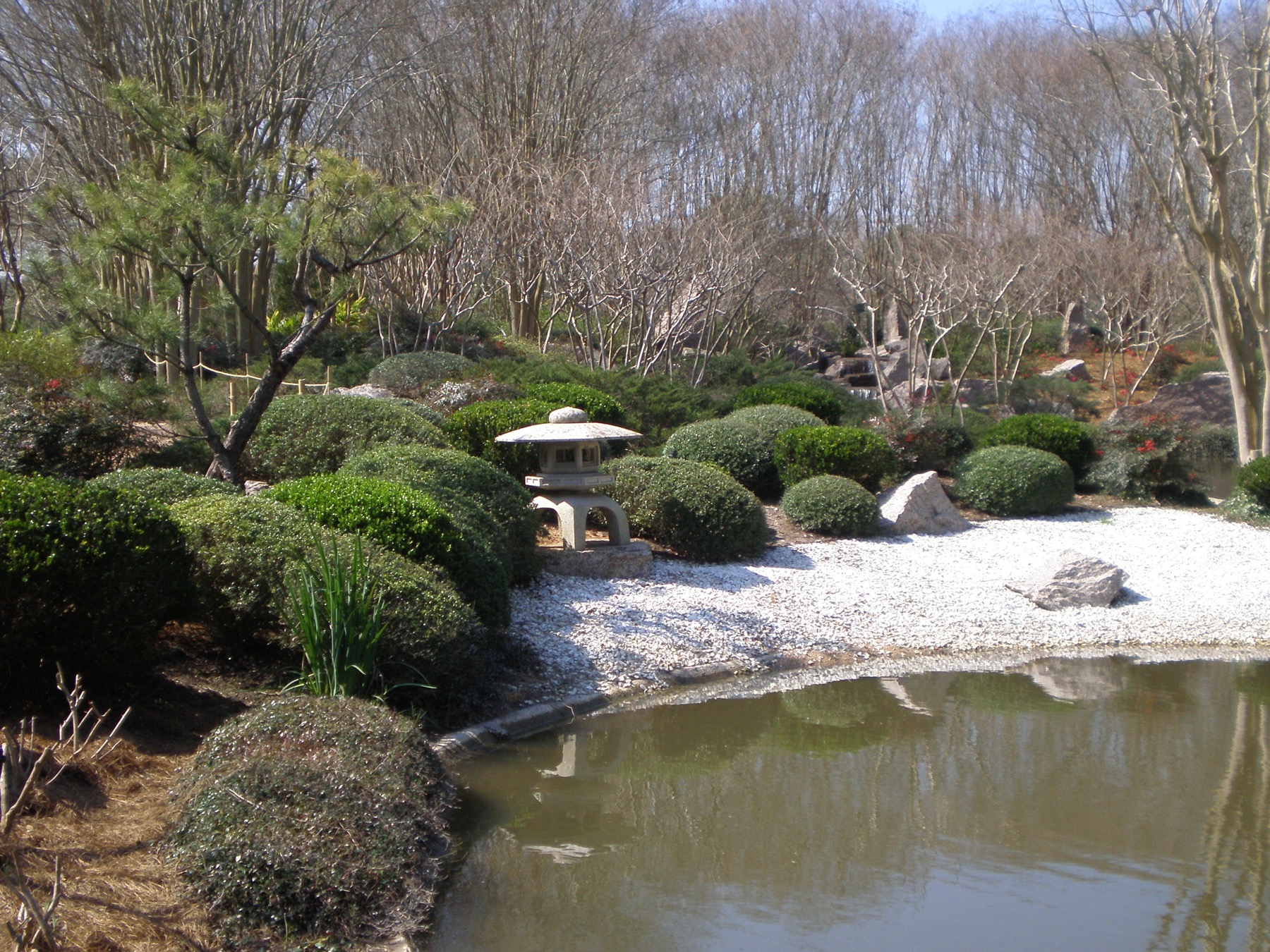 Path and plantings in the Japanese Garden at Hermann Park in Houston.
