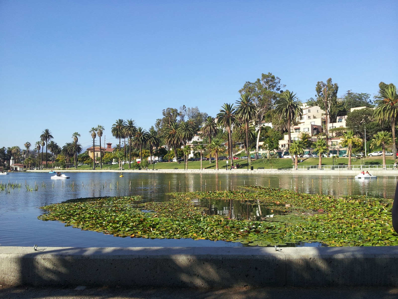 Echo Park Lake in Los Angeles with palm trees and downtown in the distance.