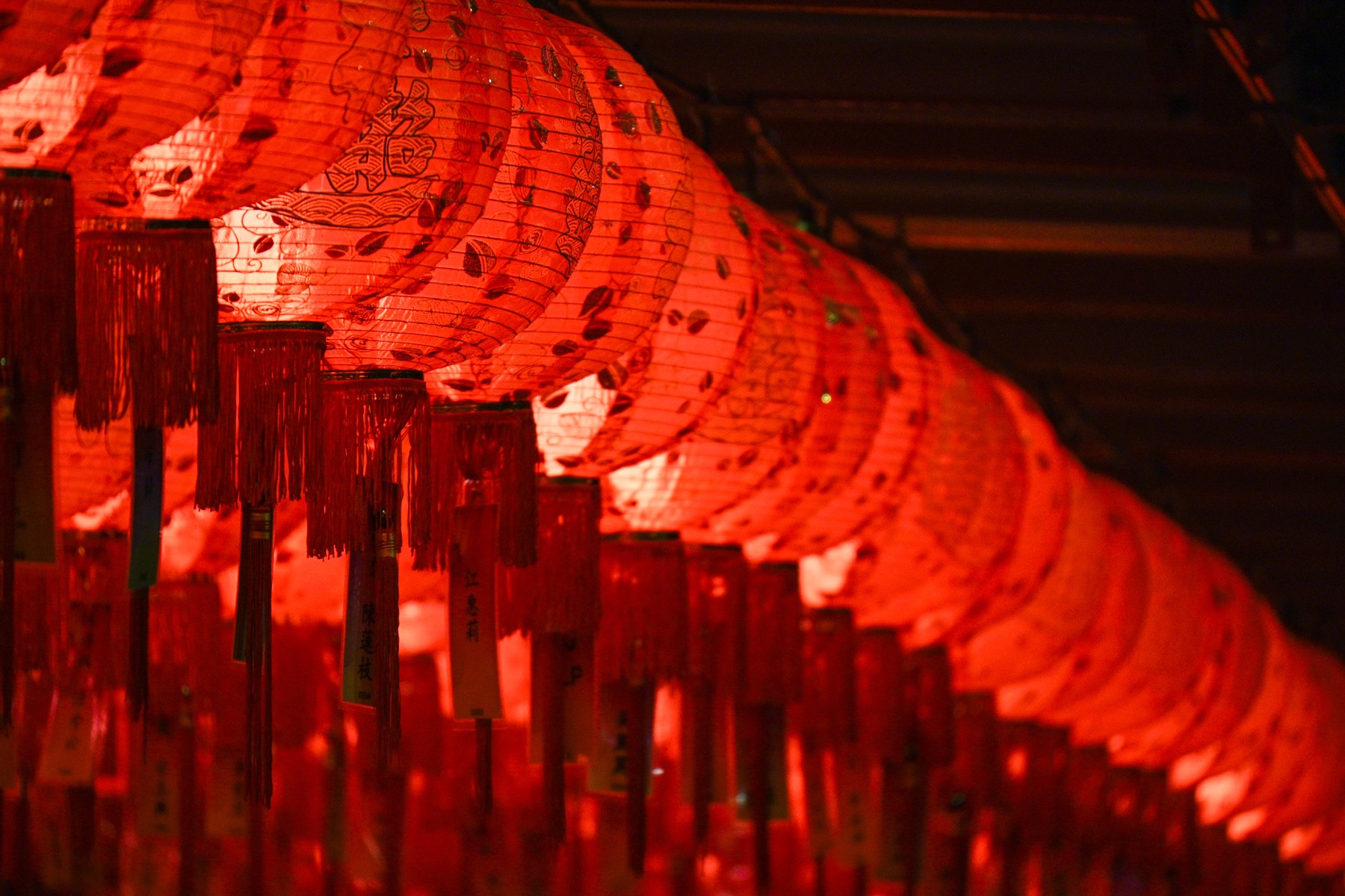 Rows of glowing Chinese lanterns at night during a Mid-Autumn celebration.