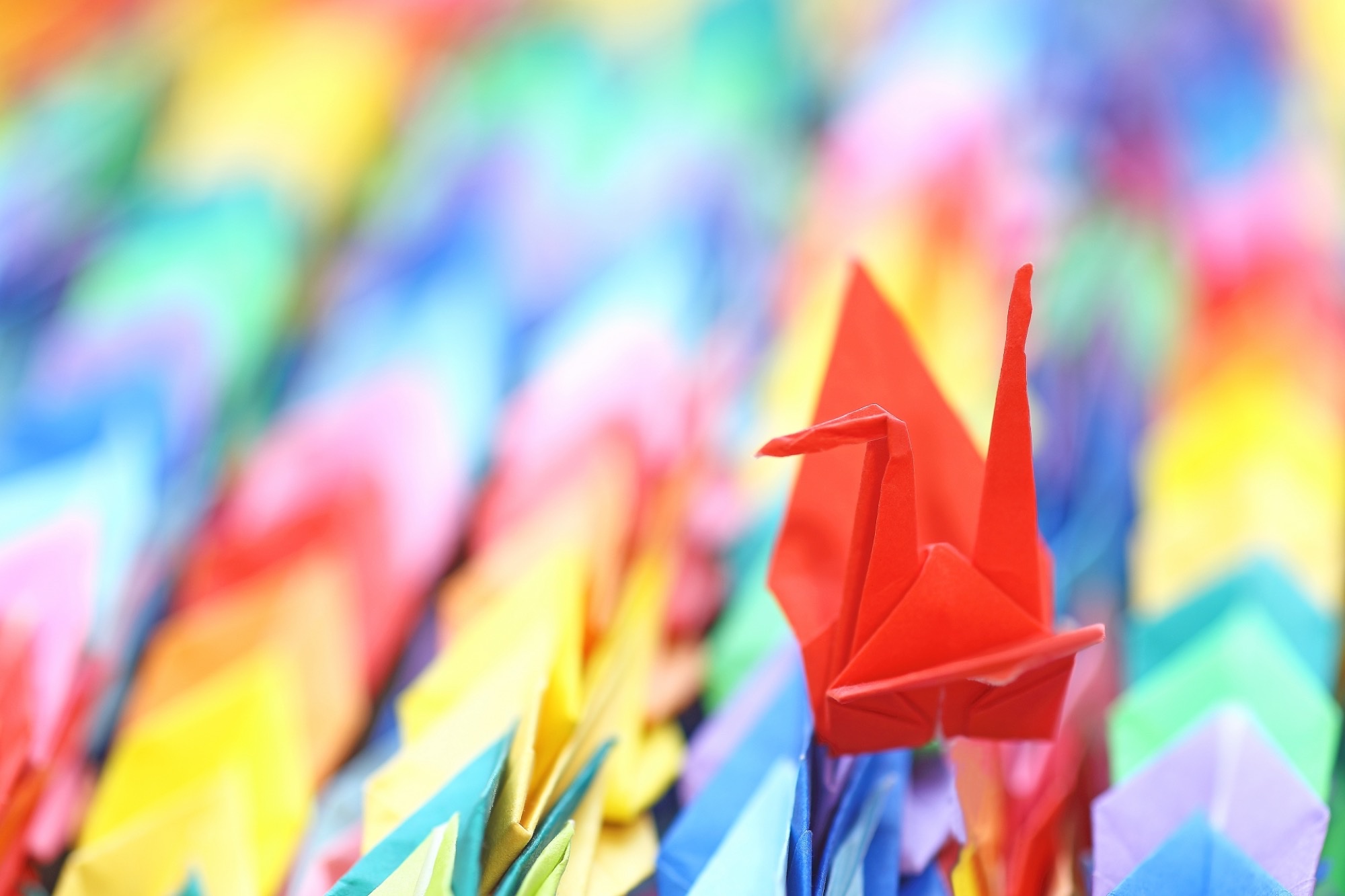 Promotional art for Senbazuru Dallas origami crane workshop and concert.